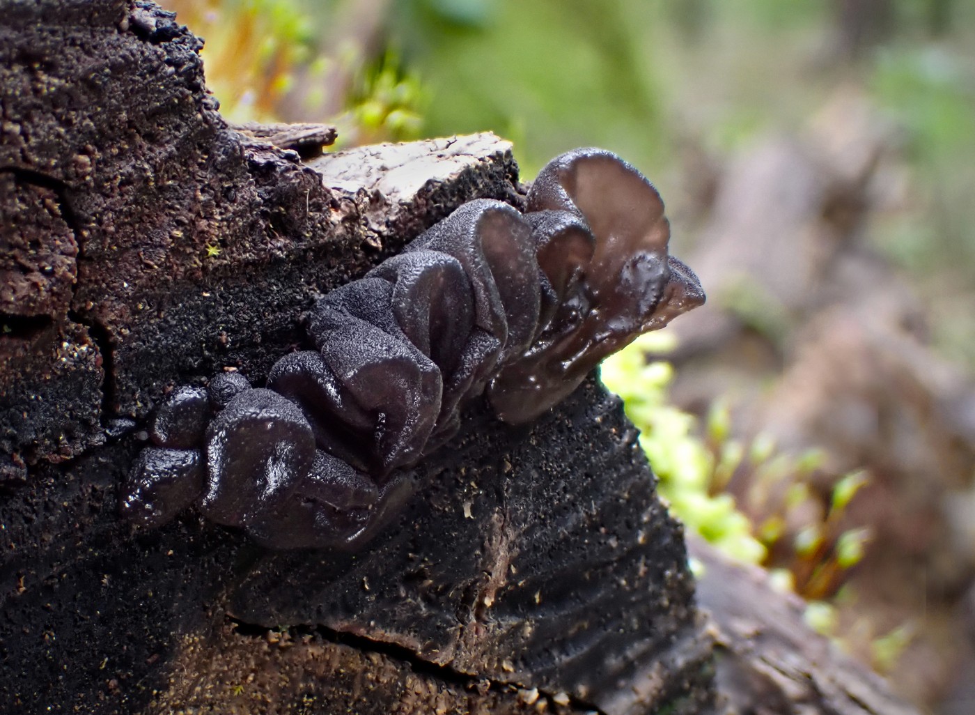 20250927 Myko Beroun (21)