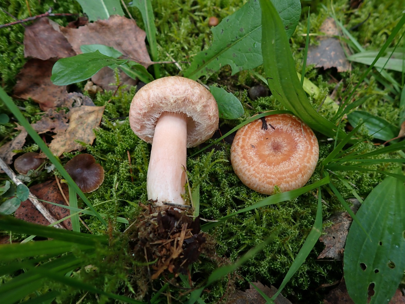 20250929 Myko Harr (1)