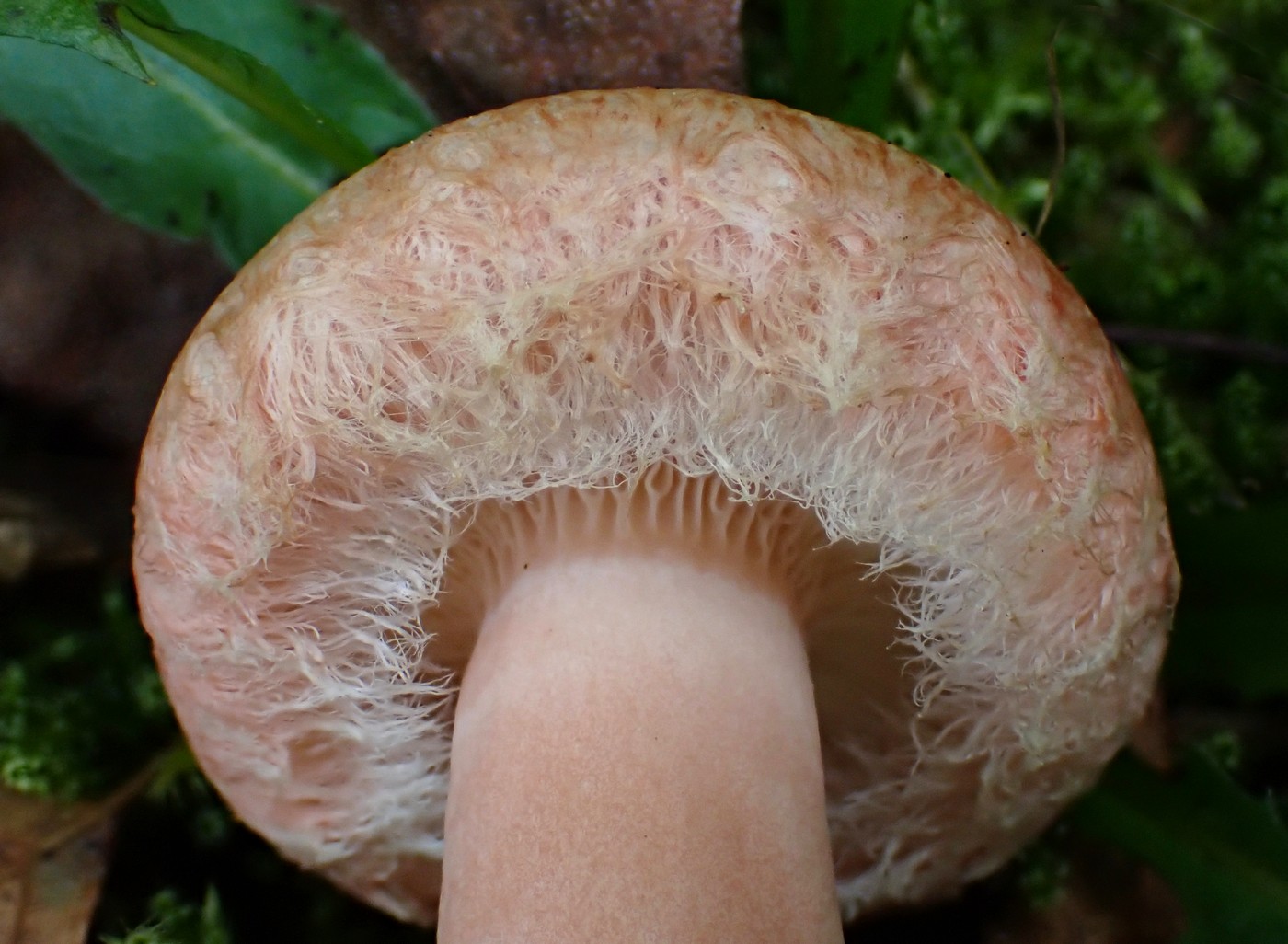 20250929 Myko Harr (2)