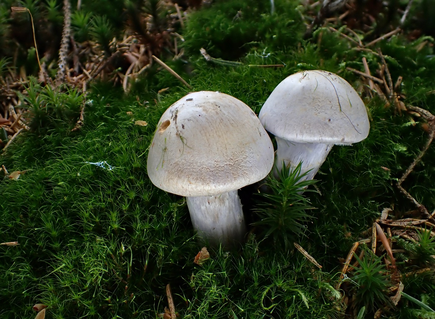 20250929 Myko Harr (3)