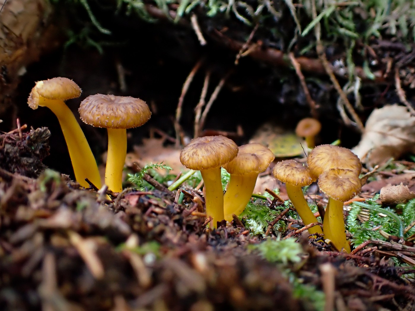 20250929 Myko Harr (4)