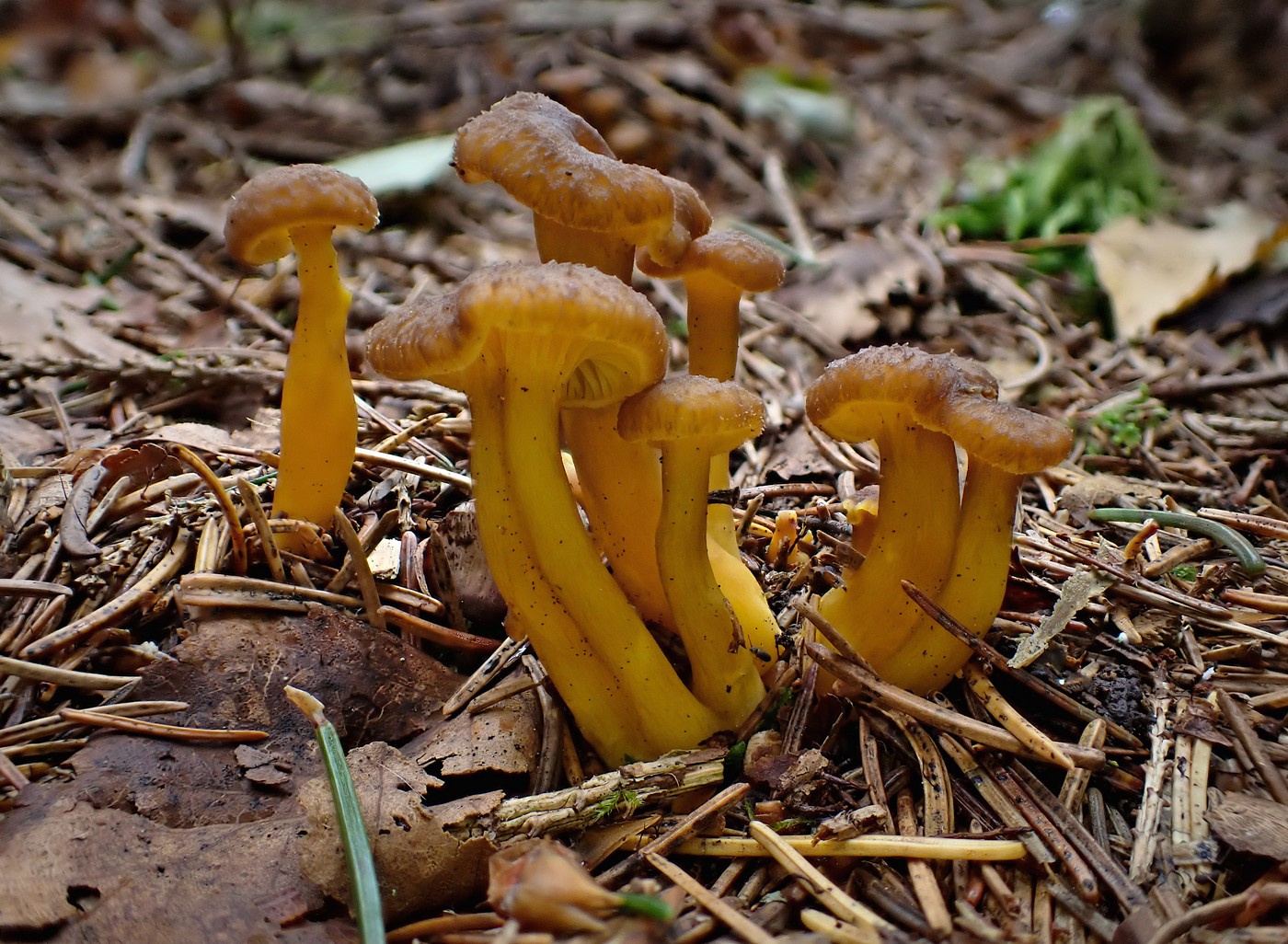 20250929 Myko Harr (5)