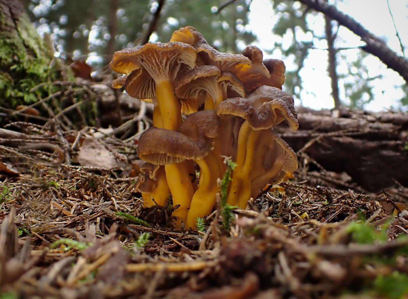 20250929 Myko Harr (6)