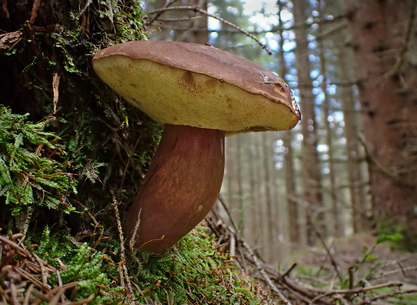 20250929 Myko Harr (7)