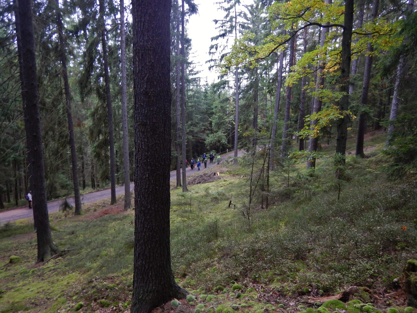 20251004 Vychazka Brdy(15)