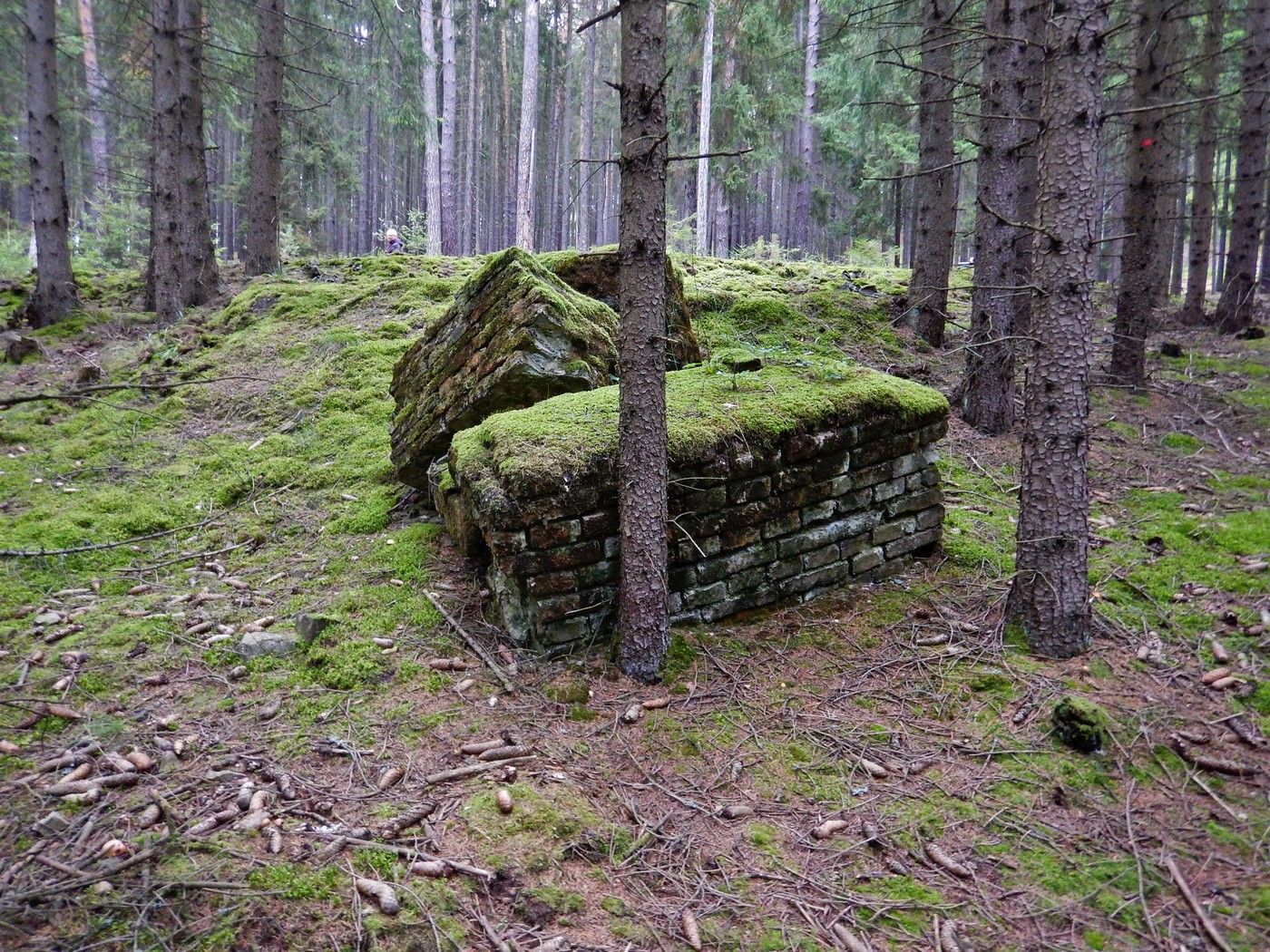 20251004 Vychazka Brdy(21)