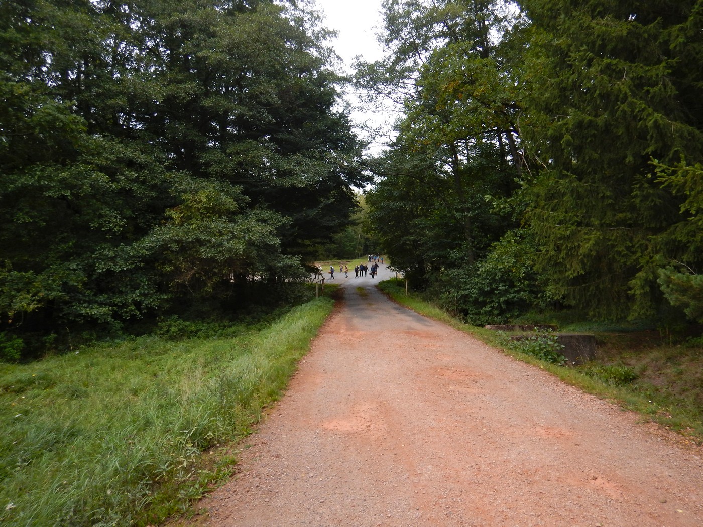 20251004 Vychazka Brdy(23)