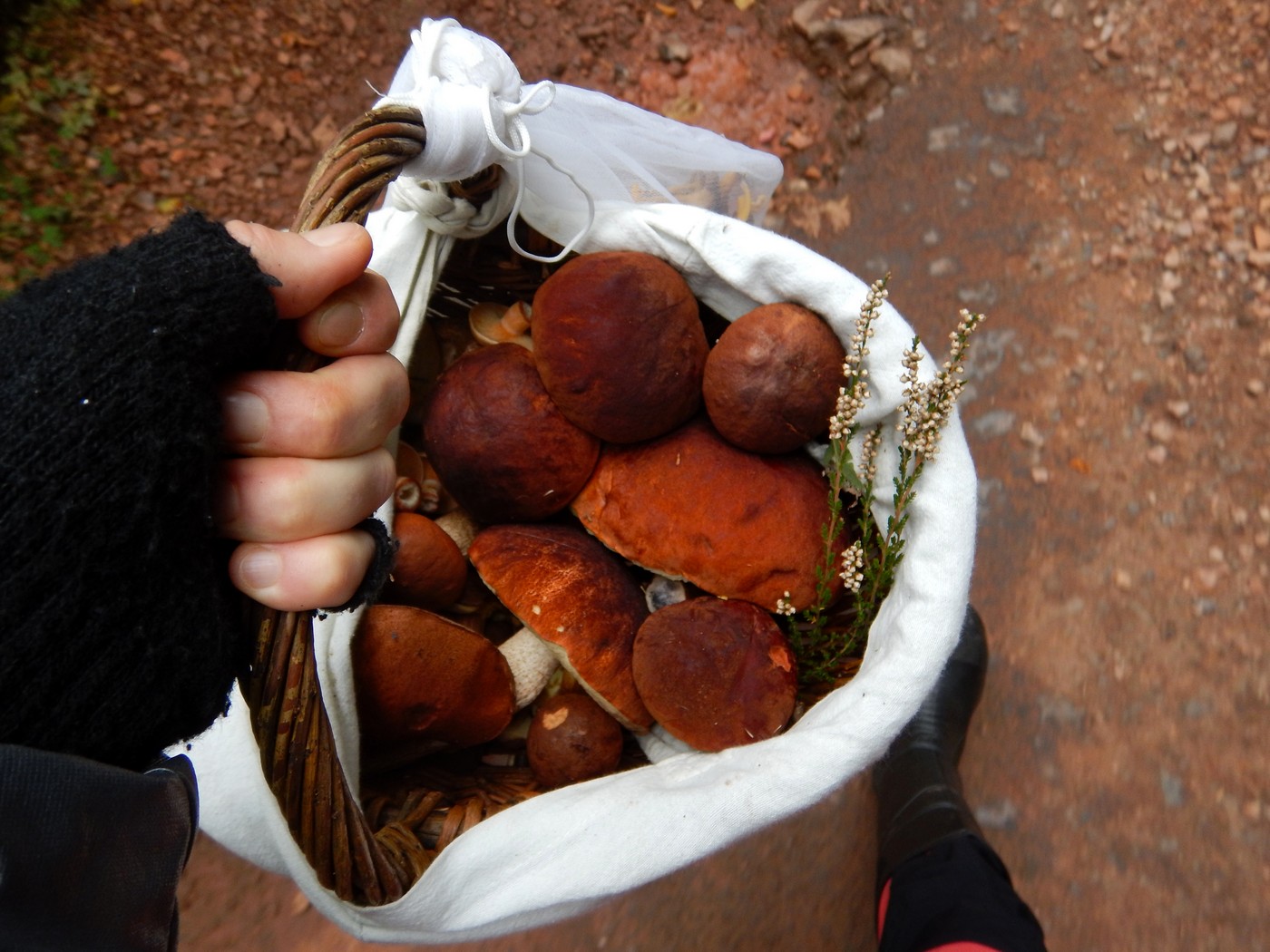 20251004 Vychazka Brdy(29)