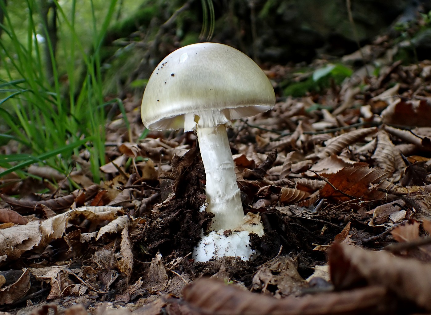 20251002 Myko Beroun (5)