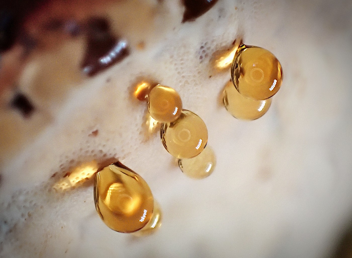 20251018 Myko Krivoklat (13))