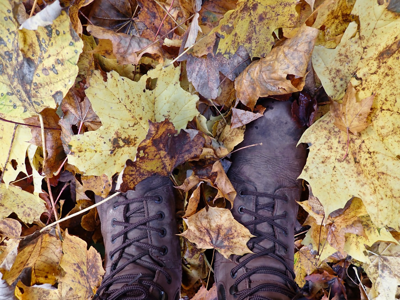 20251018 Myko Krivoklat (18))