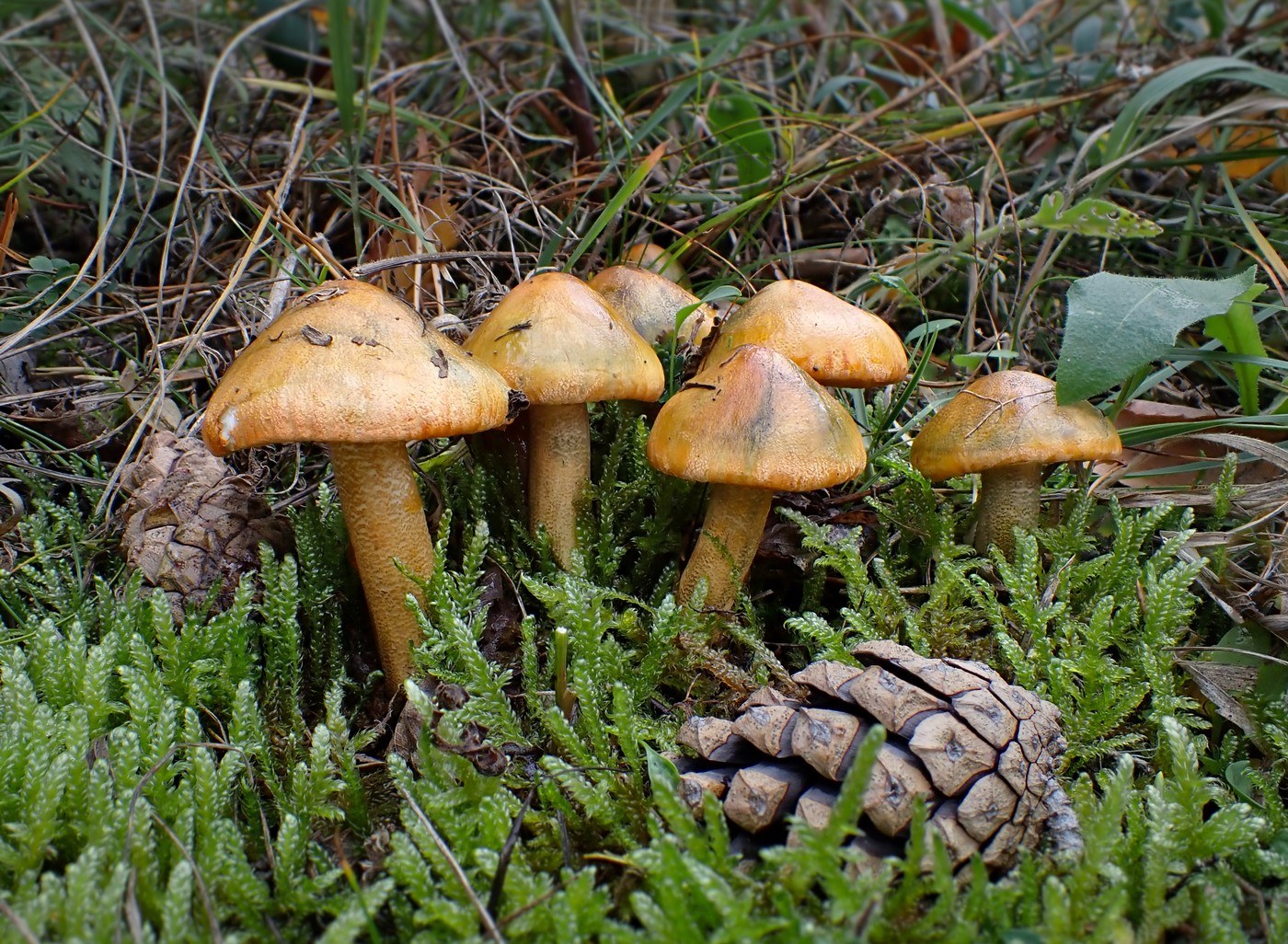 20251025 Myko Prokopak (13)