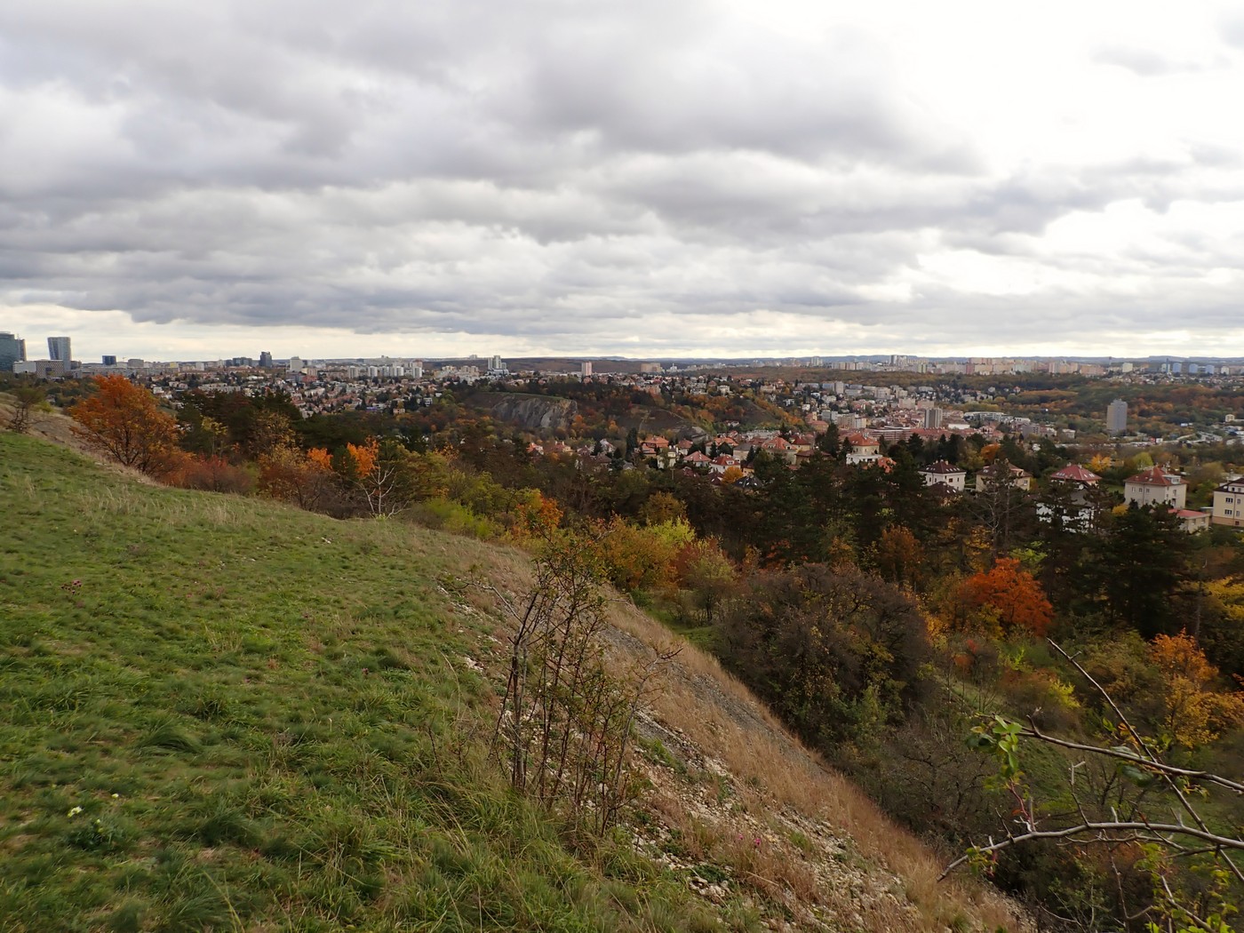 20251025 Myko Prokopak (14)