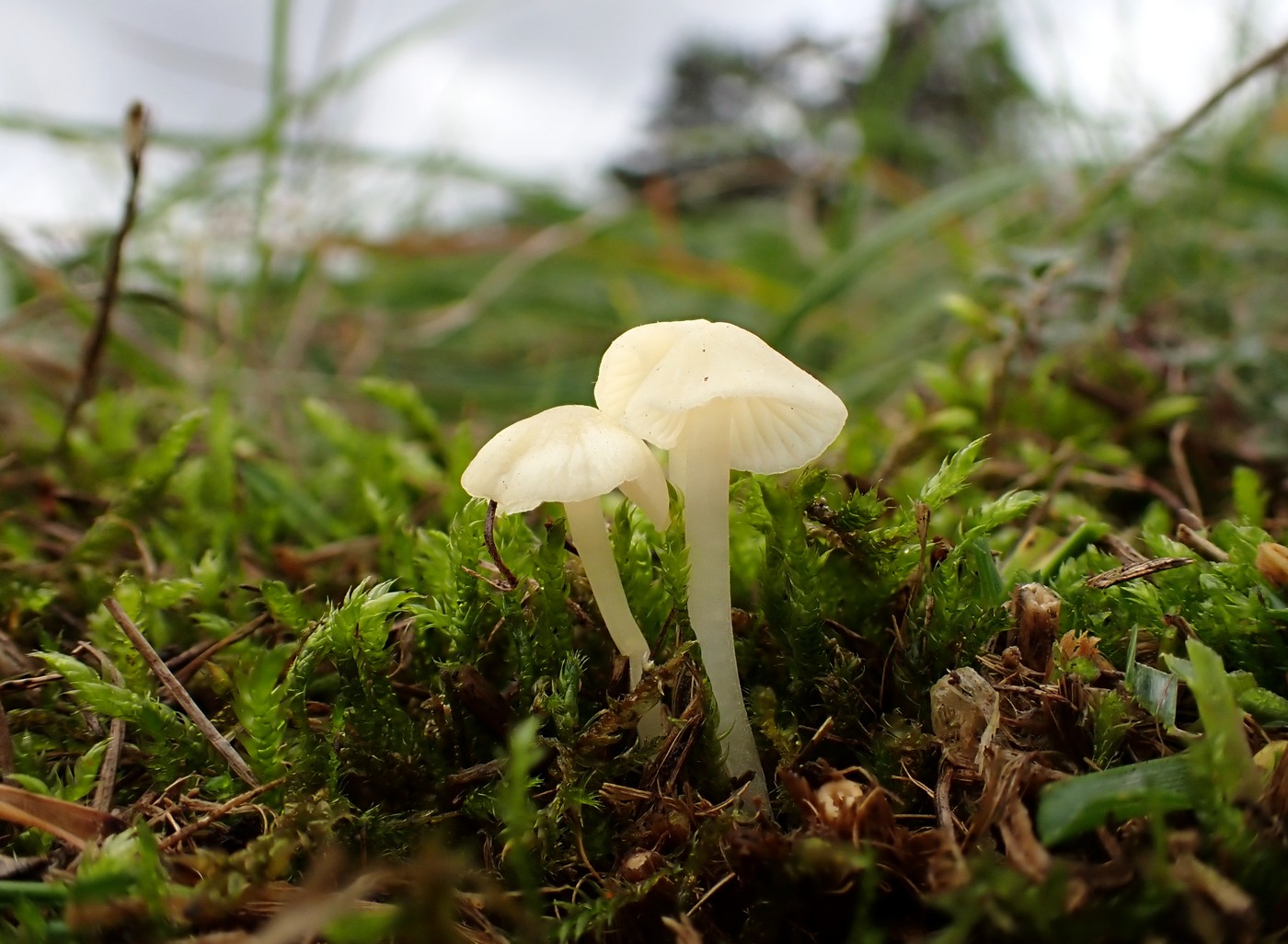 20251025 Myko Prokopak (16)