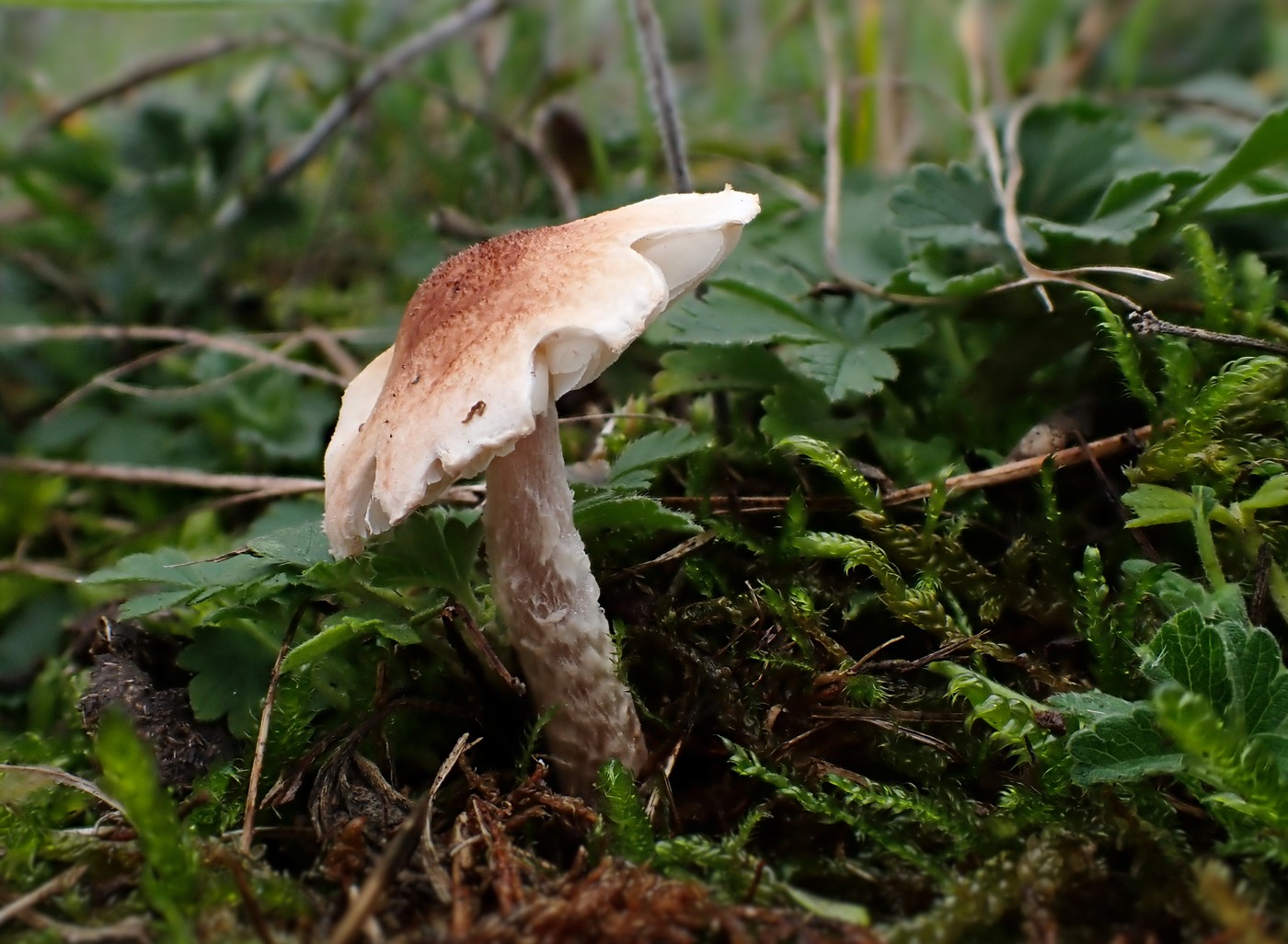 20251025 Myko Prokopak (17)