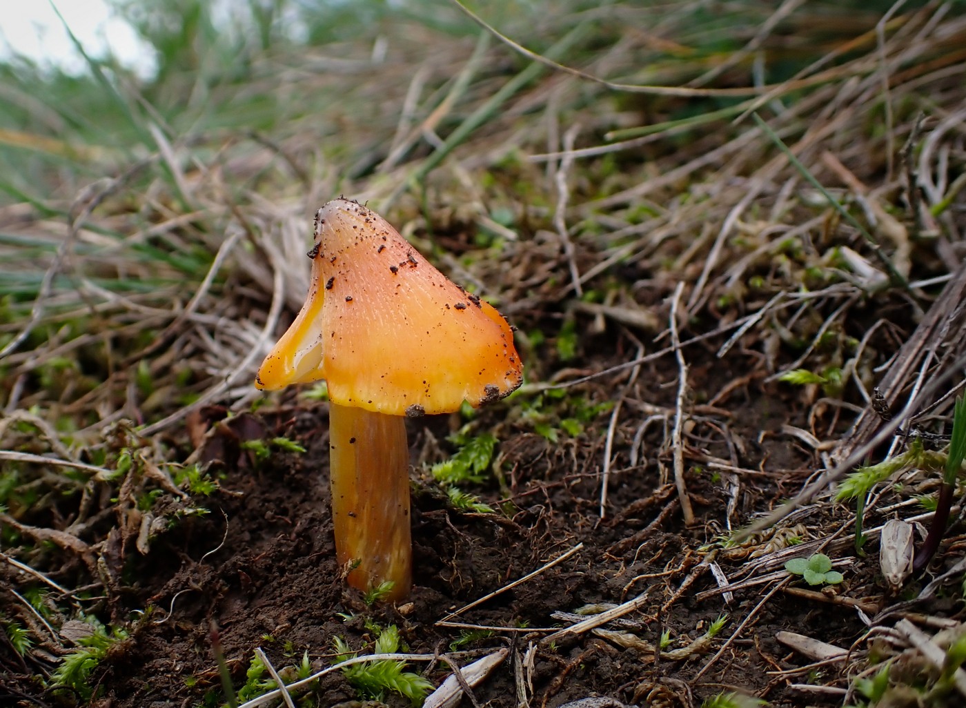 20251025 Myko Prokopak (18)