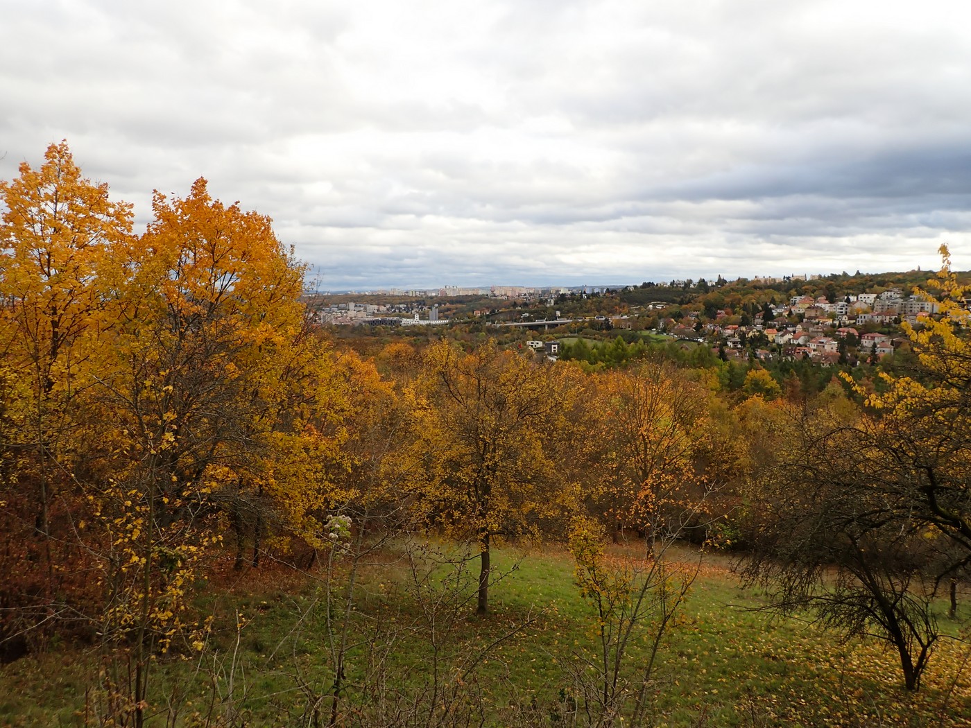 20251025 Myko Prokopak (21)