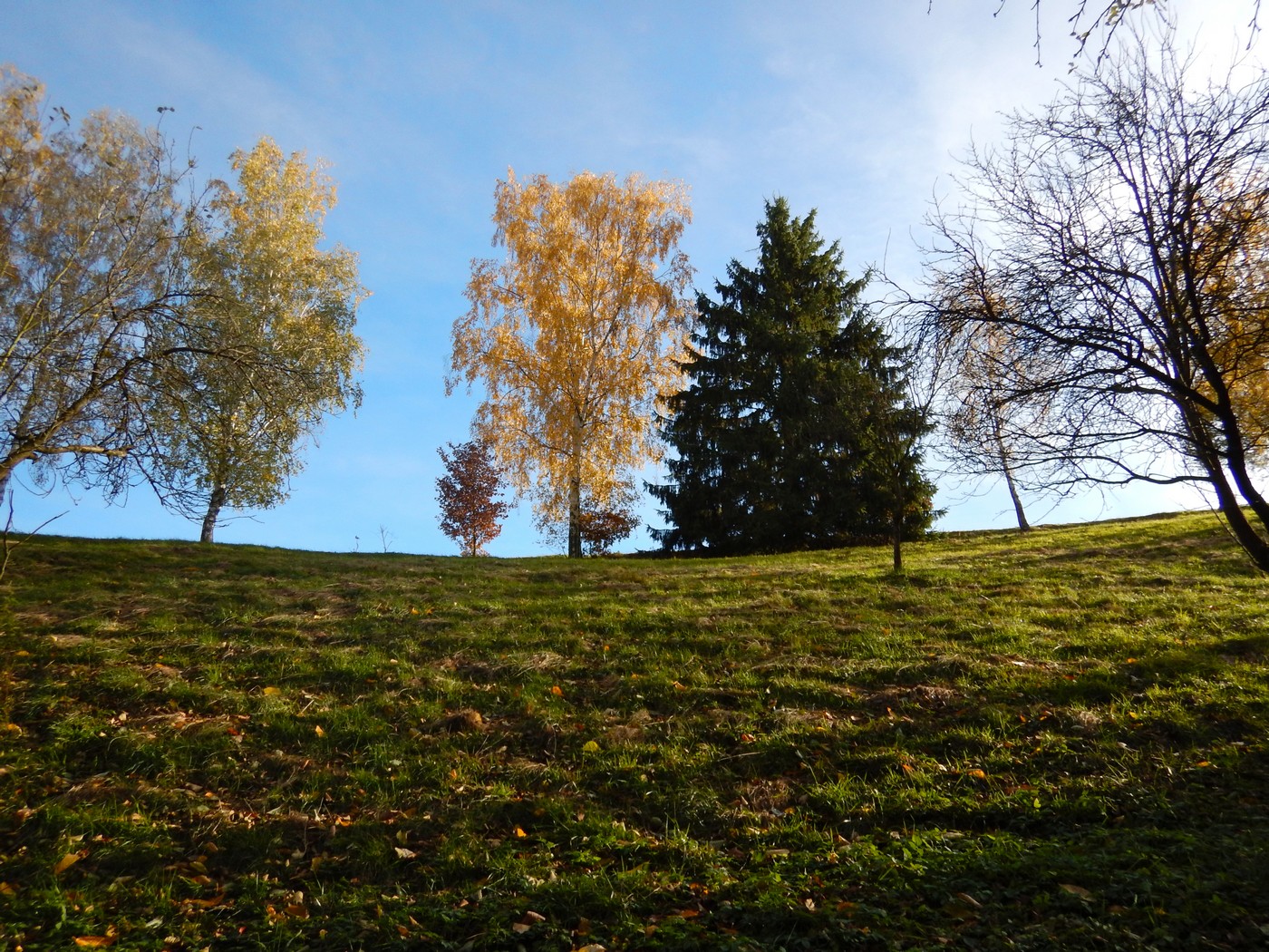 20251031 Drevniky (14)