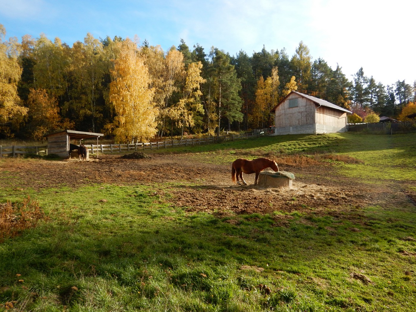 20251031 Drevniky (17)