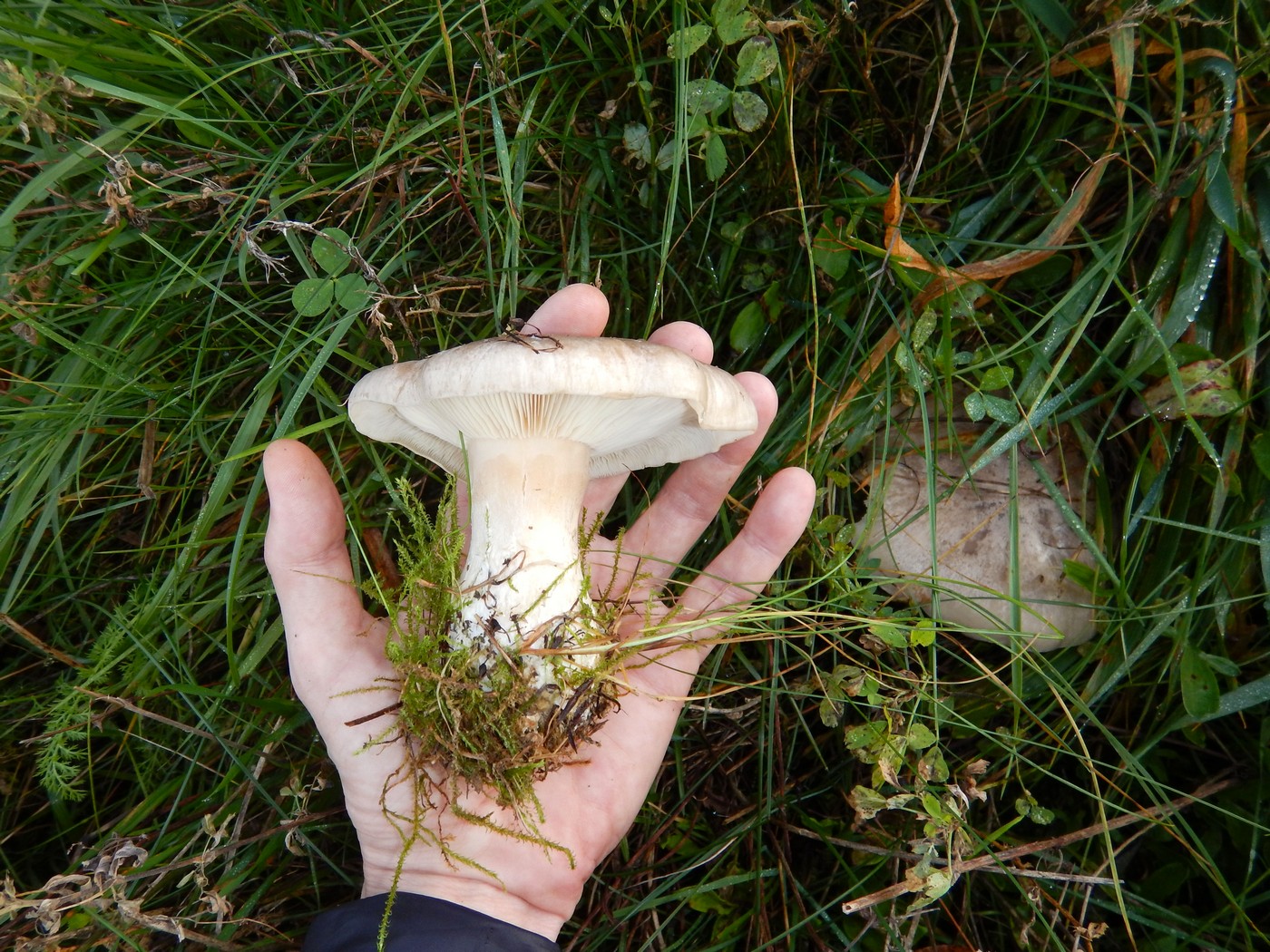 20251031 Drevniky (22)