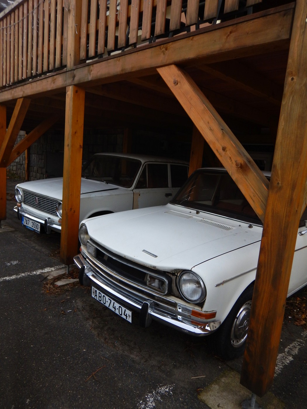 20251031 Drevniky (27)