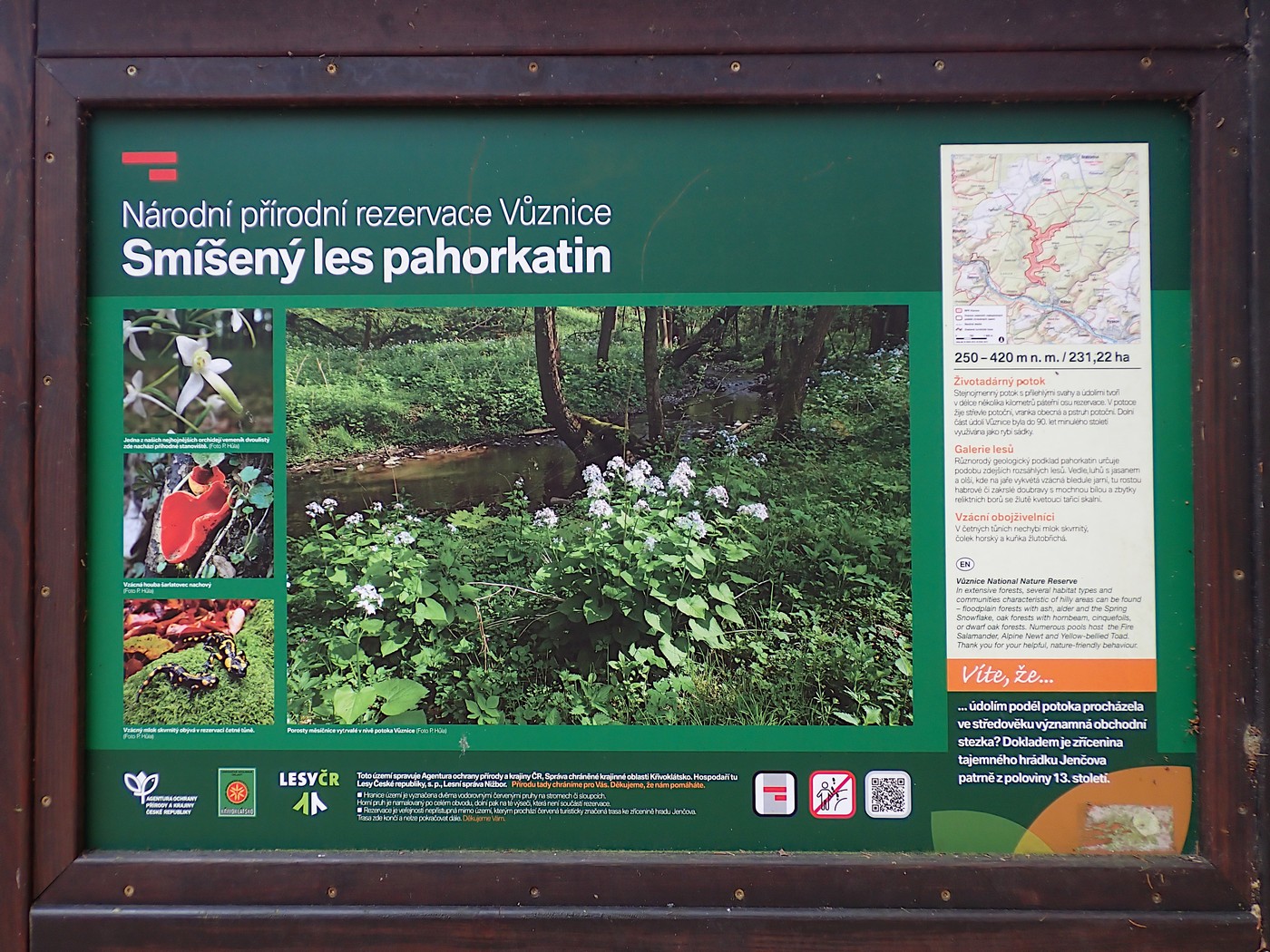 20251108 Myko Jenstejn (11)