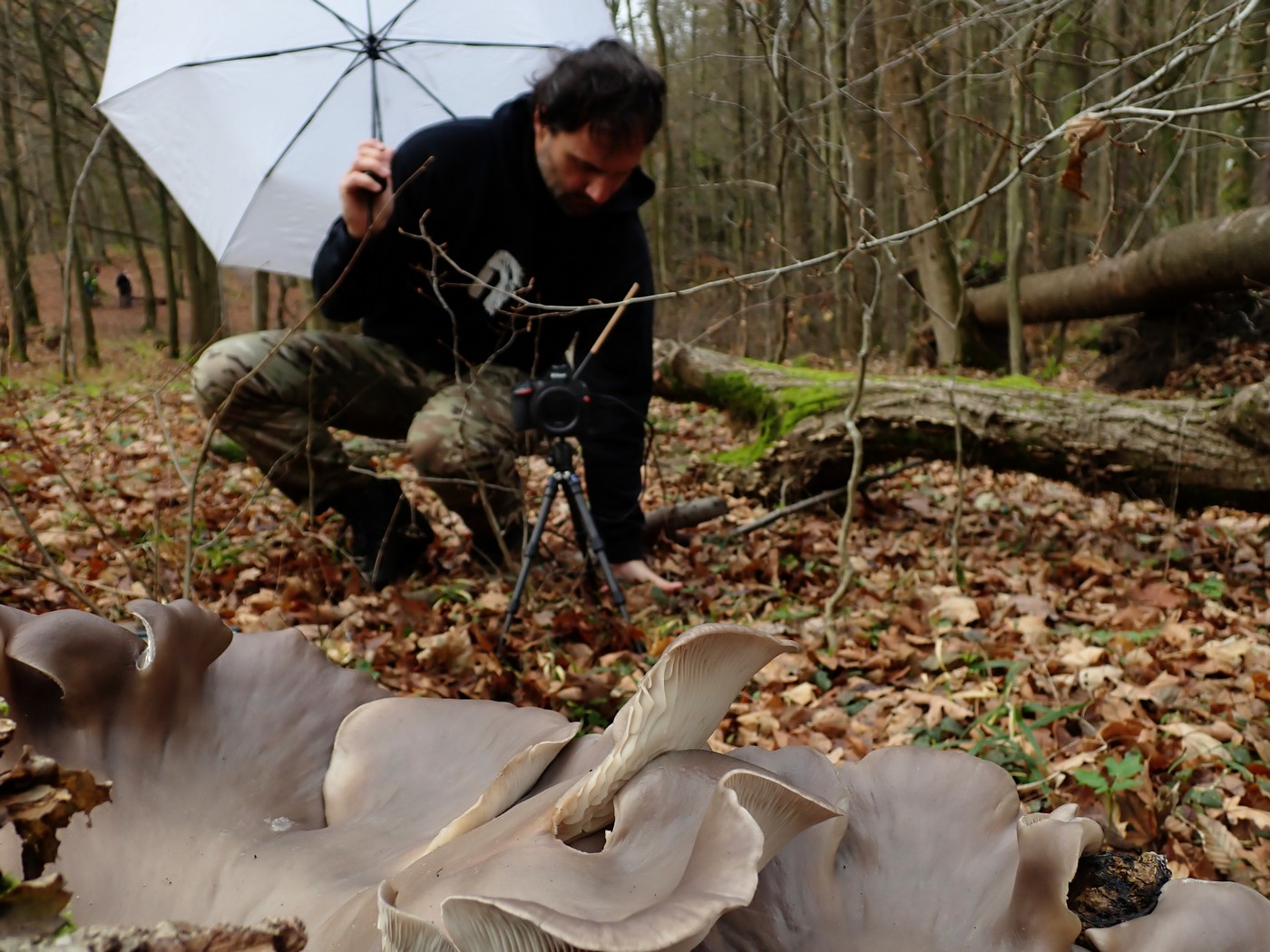 20251108 Myko Jenstejn (16)