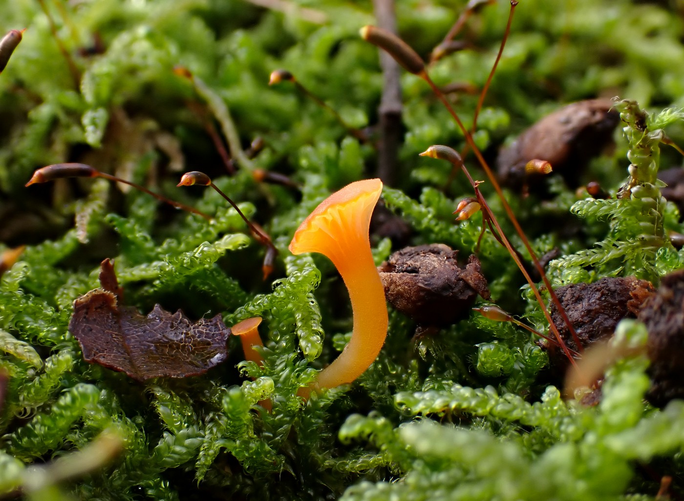 20251108 Myko Jenstejn (22)