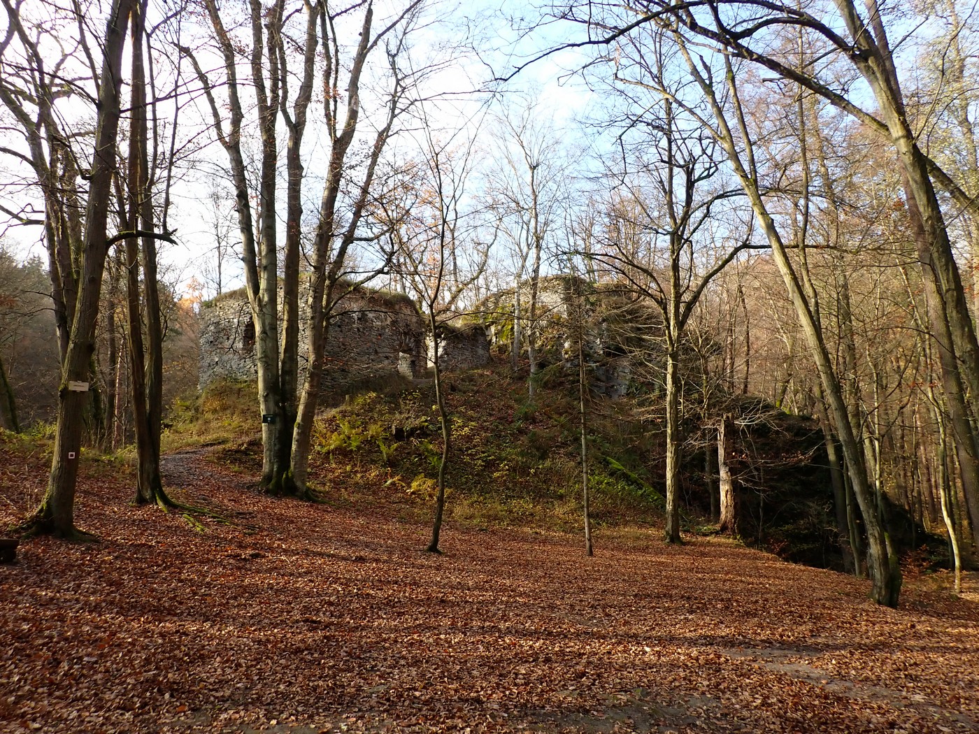 20251108 Myko Jenstejn (25)