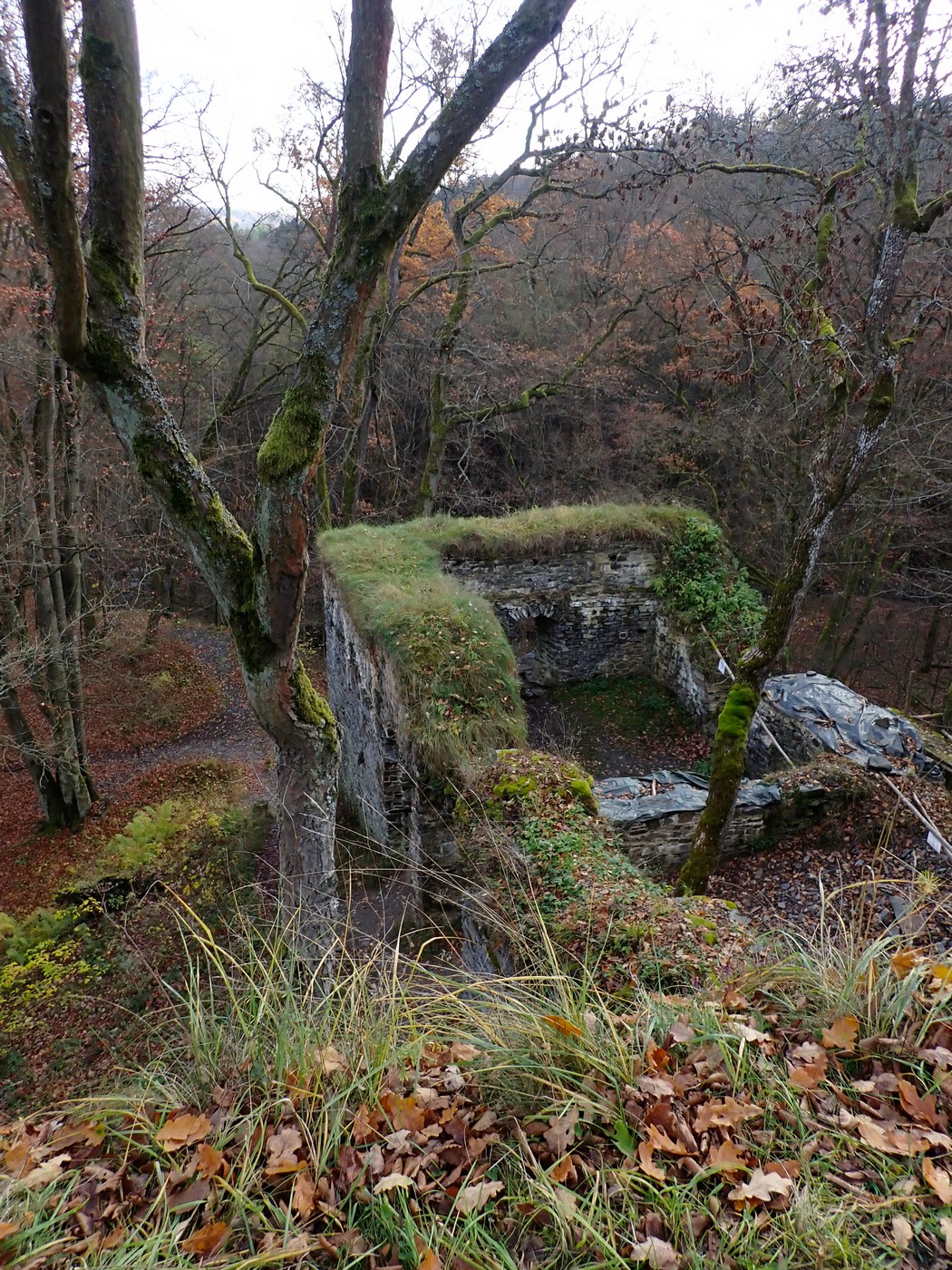 20251108 Myko Jenstejn (26)