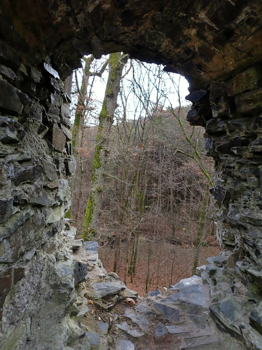 20251108 Myko Jenstejn (27)