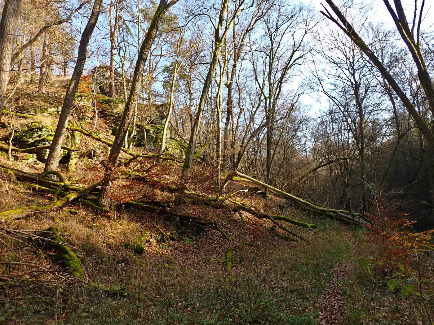 20251108 Myko Jenstejn (33)