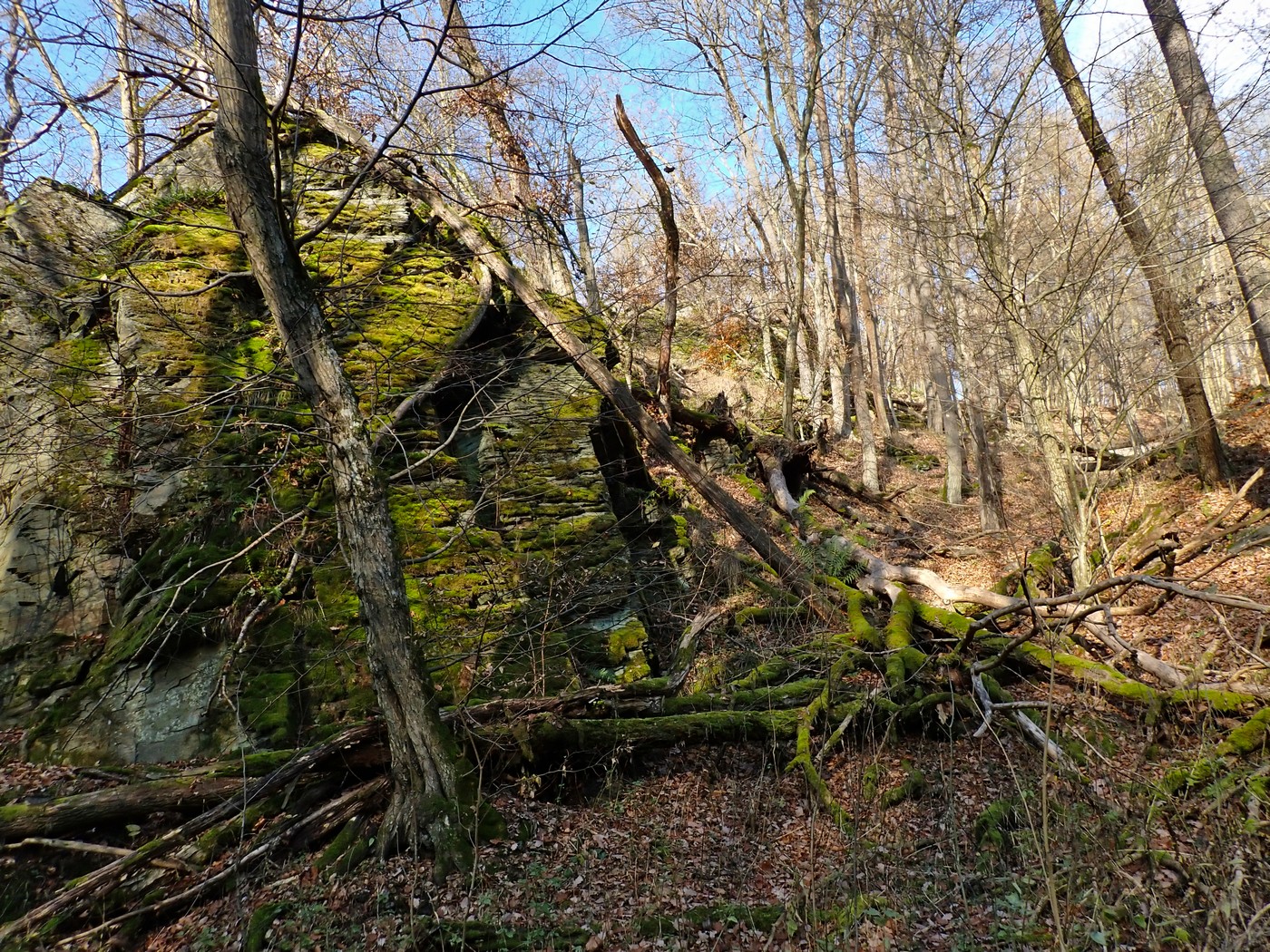 20251108 Myko Jenstejn (34)