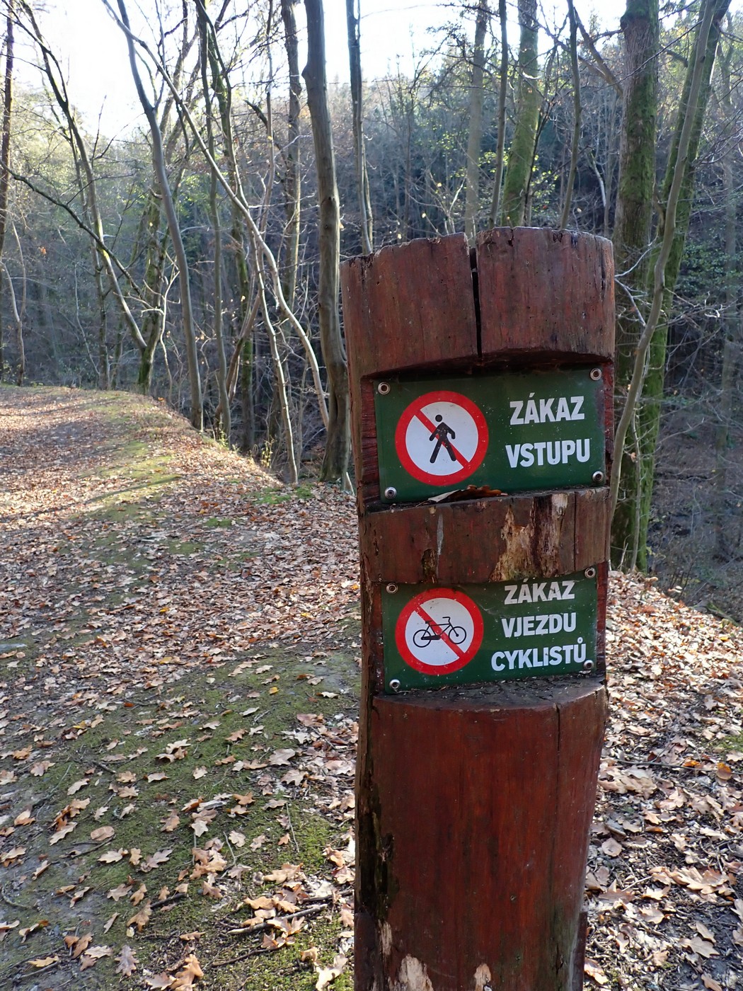 20251108 Myko Jenstejn (35)