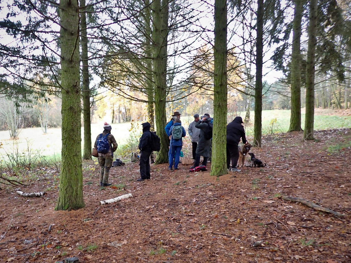 20251117 Myko Sarka (15)