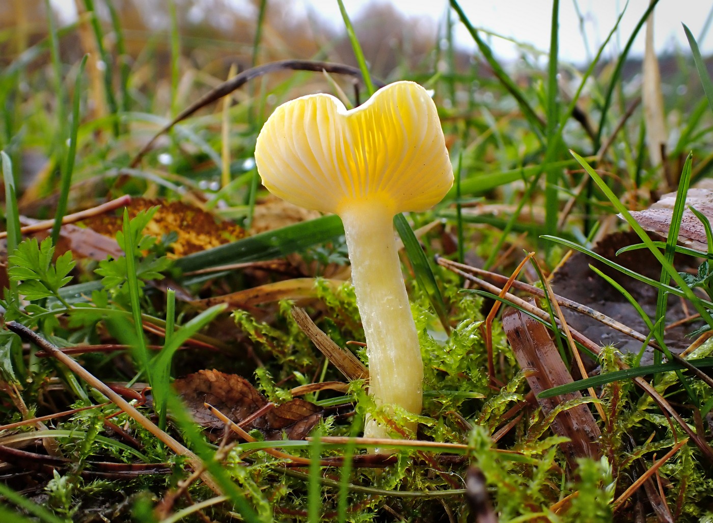 20251117 Myko Sarka (17)