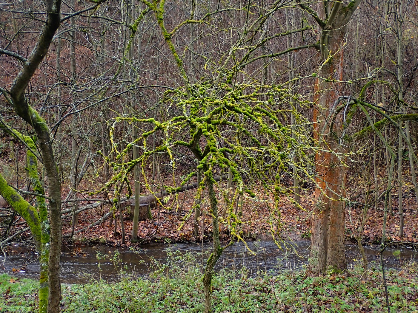 20251117 Myko Sarka (19)