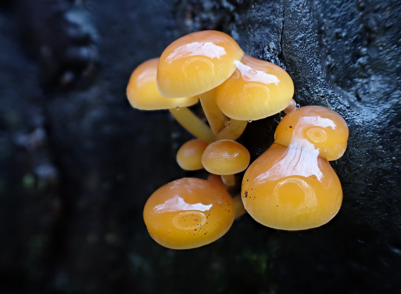 20251117 Myko Sarka (21)