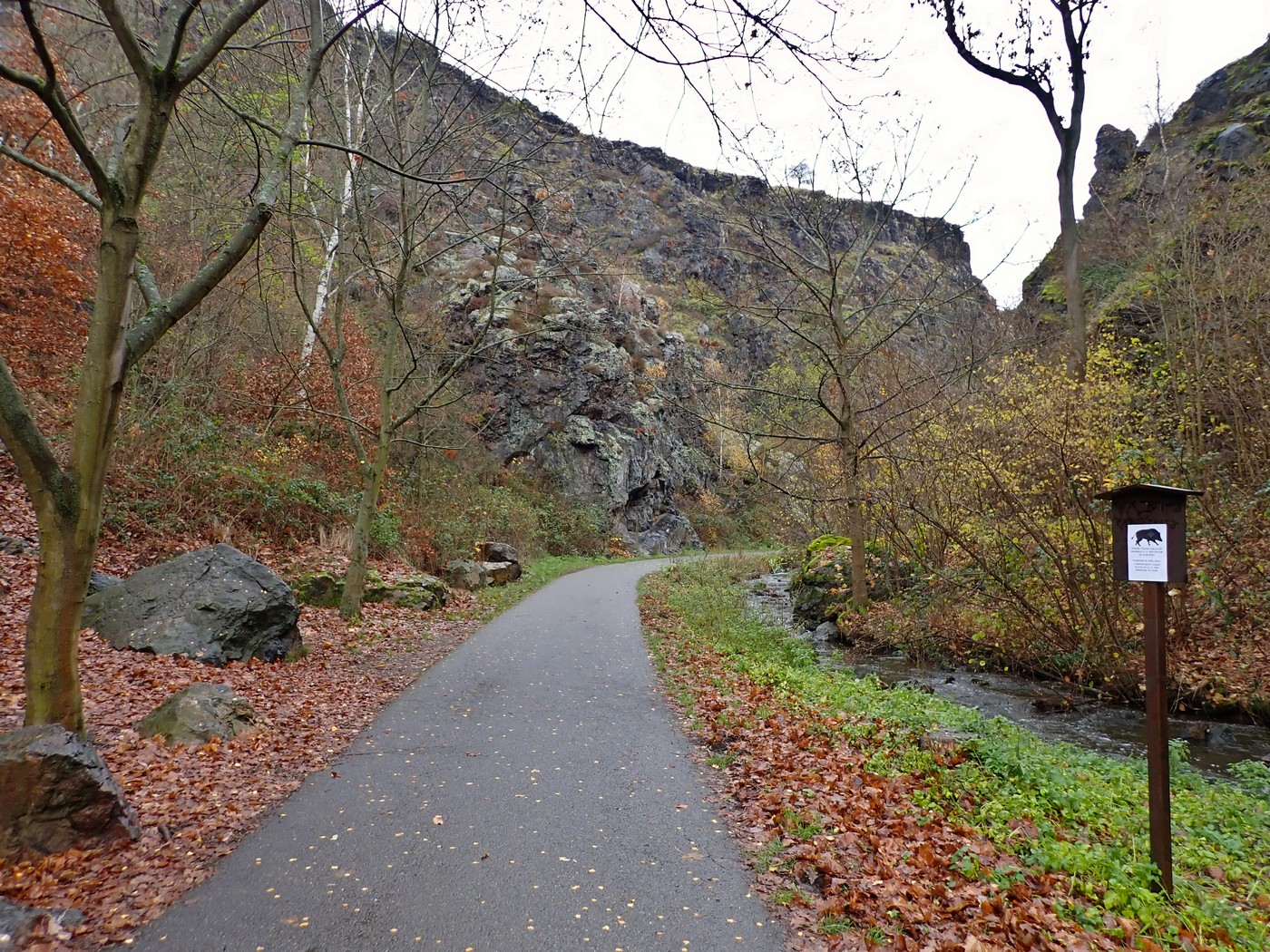 20251117 Myko Sarka (22)