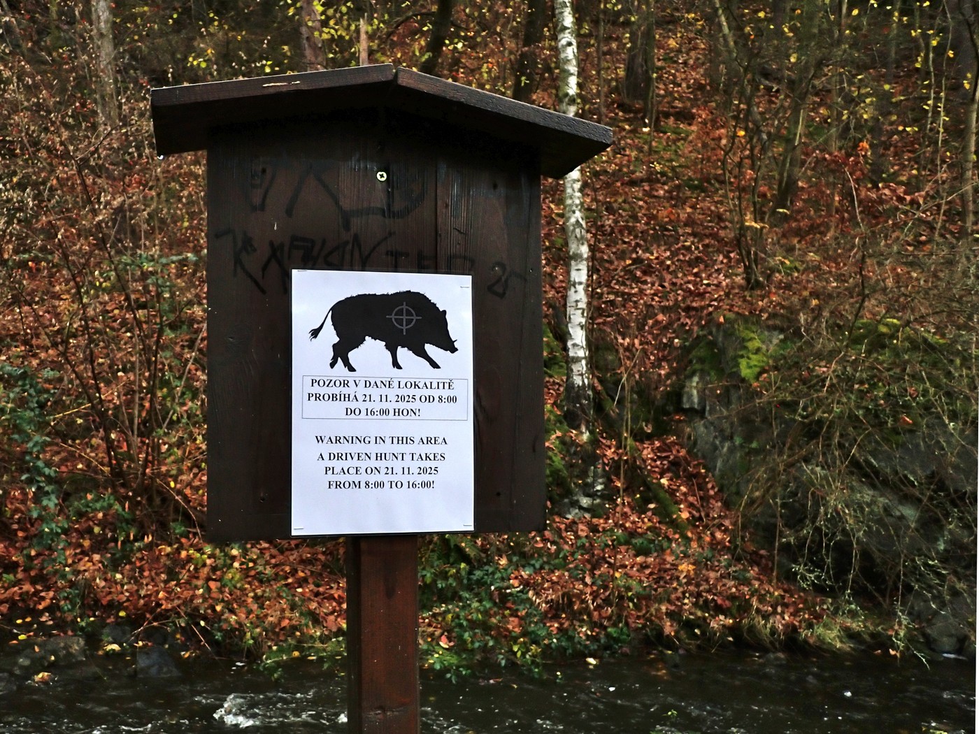 20251117 Myko Sarka (23)