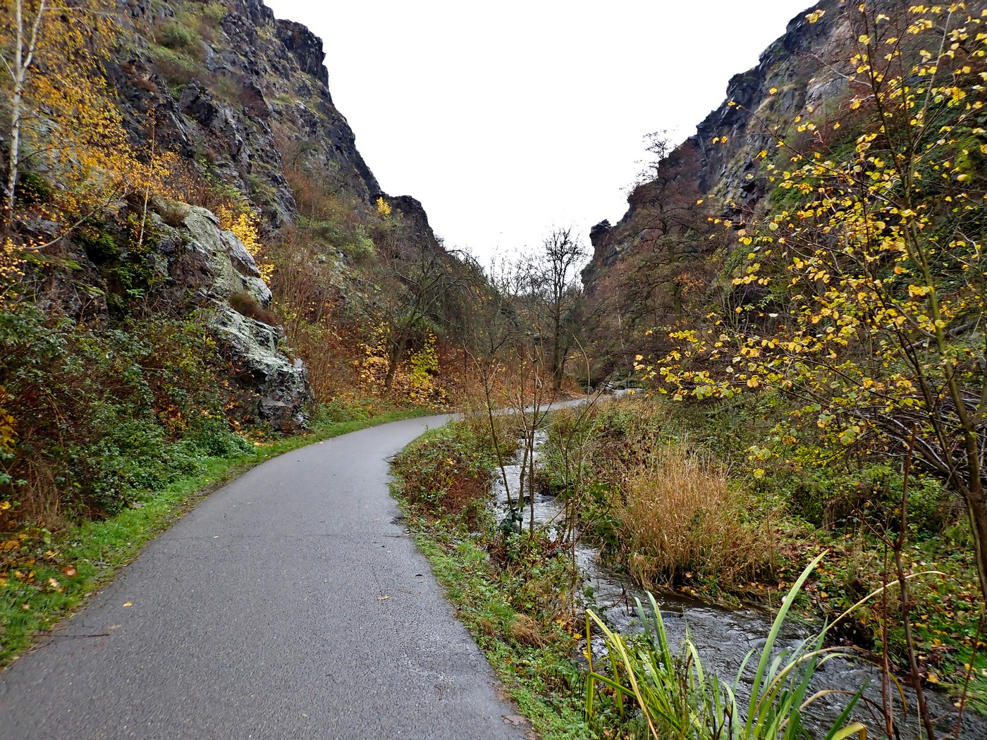 20251117 Myko Sarka (24)